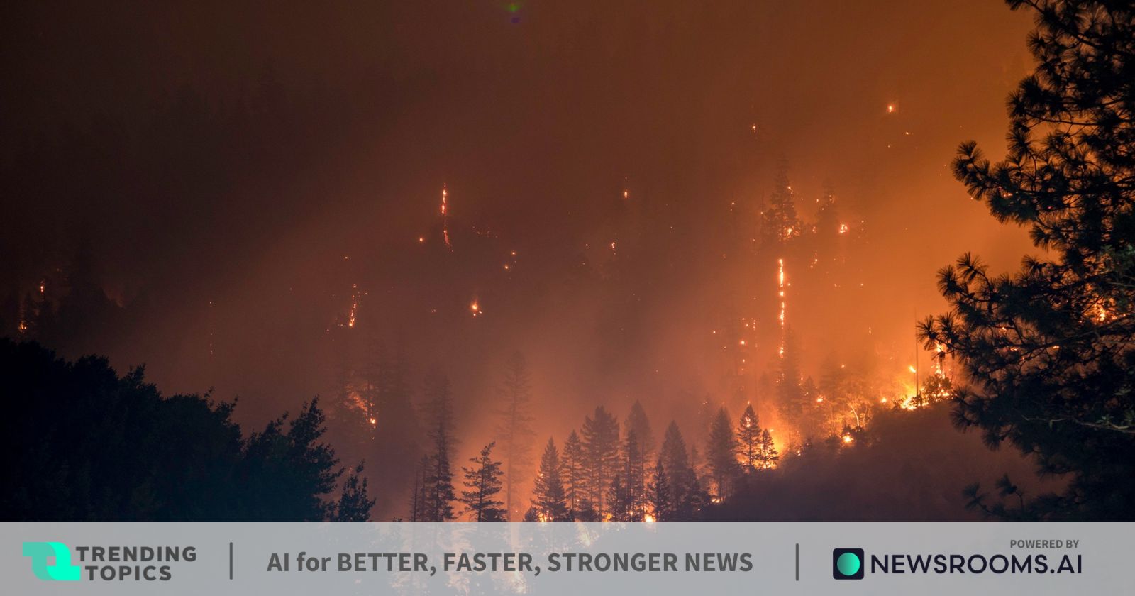 „Největší lesní požáry v historii Evropské unie“